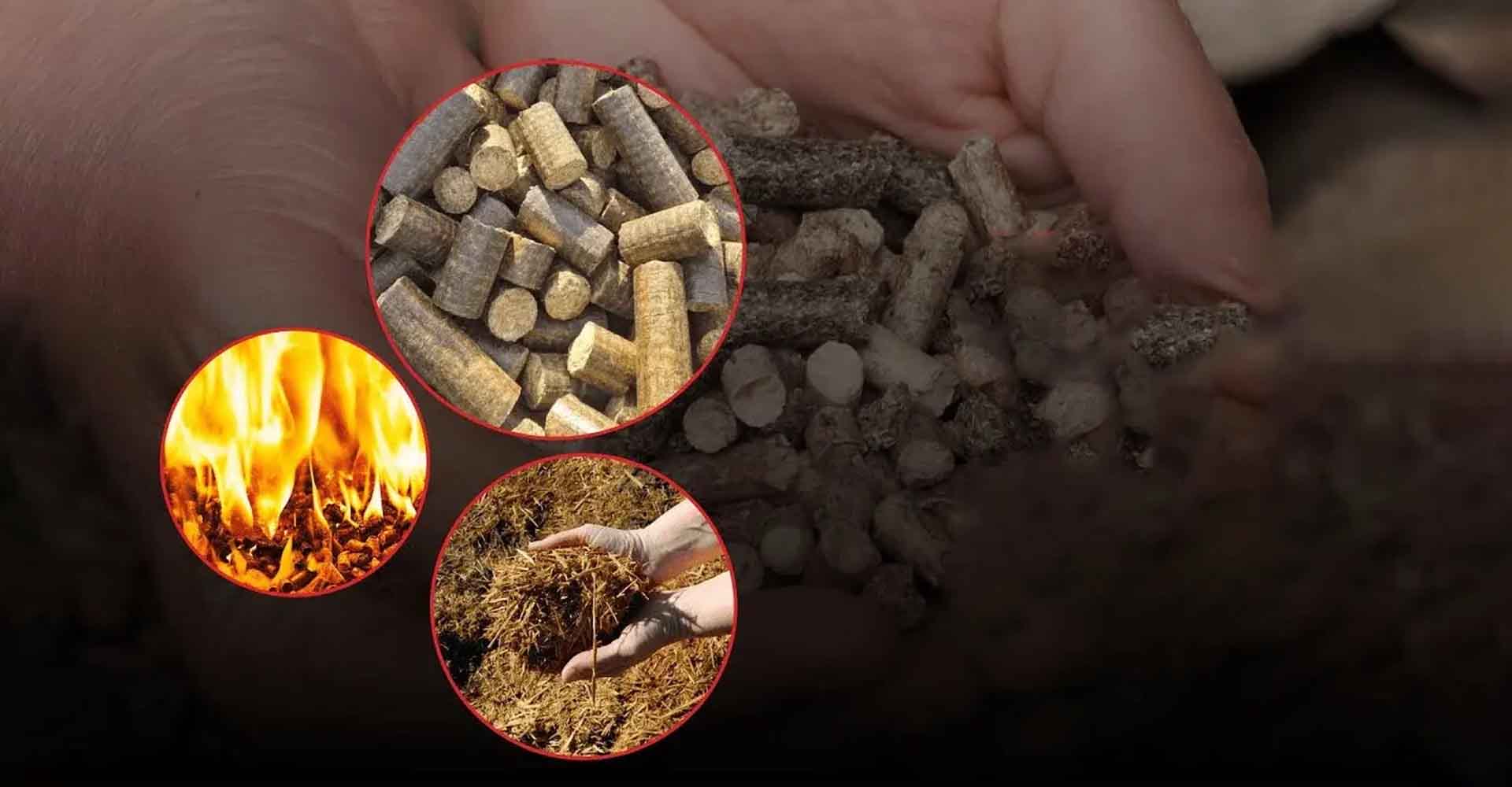 Adhavan Agroceutical Pvt. Ltd